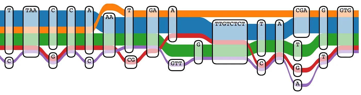 A (tiny) portion of a graph genome visualized by <a href="https://github.com/vgteam/sequenceTubeMap">sequenceTubeMap</a>