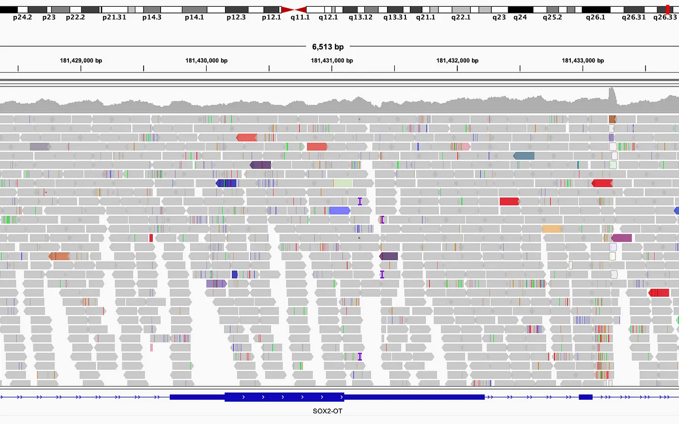 A read pileup visualized by IGV. Short reads overlap to build up a contiguous assembly.